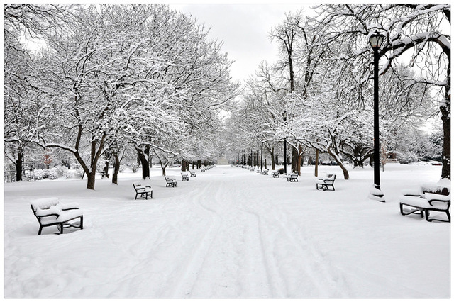 White-and-black-snowy-park-with-trees-winter-wall-picture-canvas-art-oil-painting-stretched-ready.jpg_640x640